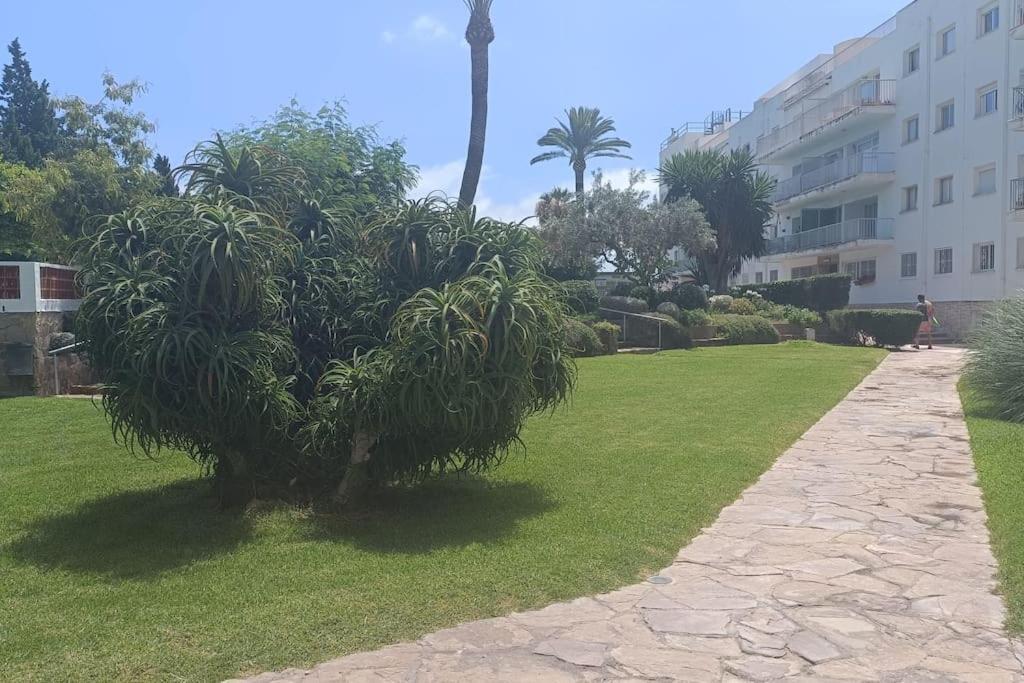 Apartamento 1ª Linea De Playa 阿利坎特 外观 照片